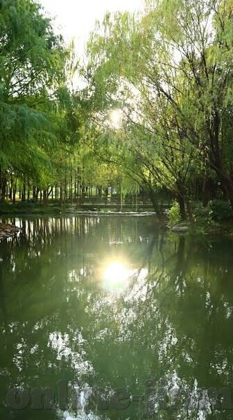 大象传媒5次免费-探索大象传媒5次免费，解锁数字时代的内容盛宴
