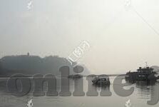 抖音大象传媒-抖音大象传媒，新媒体时代的创新力量