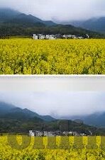 国产无套对白普通话麻豆视频-国产无套对白普通话麻豆视频，探讨当代文化与艺术的真实表达
