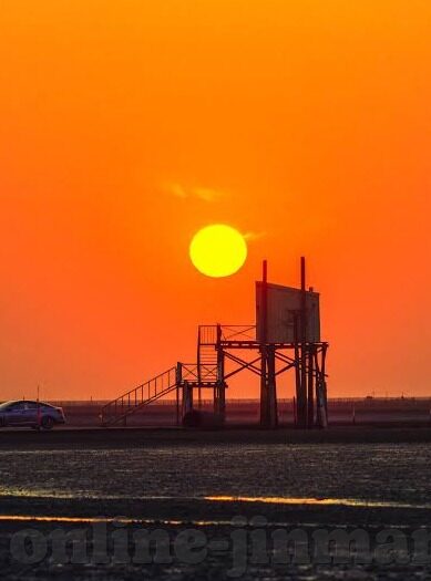 麻豆av在线一区二区三区-探寻网络内容的多样性与规范化，以麻豆AV在线一区二区三区为例