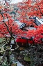 麻豆传媒破解版-麻豆传媒作品与版权保护的灰色地带