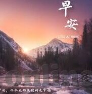 日韩麻豆91制片一级毛片-探讨日韩麻豆与91制片文化，一级毛片背后的多元化趋势