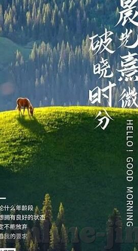 亚洲成人色情视频-亚洲成人色情视频，文化、社会与法律视角的探讨